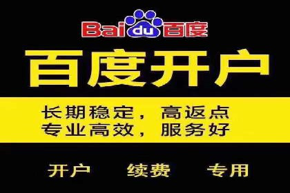 专业百度竞价代运营，助力企业高效获客